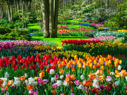 spring season: From Srinagar's Tulip festival to Assam's Rongali Bihu, spring  time fests you just can't miss out on - The Economic Times